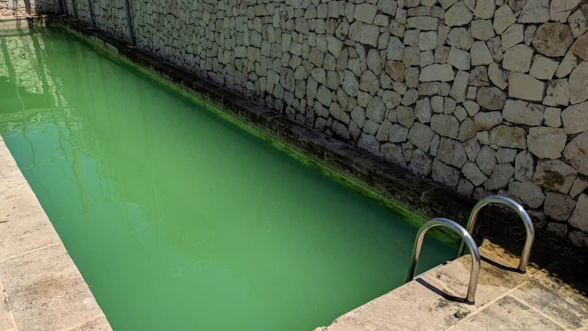 Une eau de piscine verte ? 8 remèdes de grand-mère efficaces
