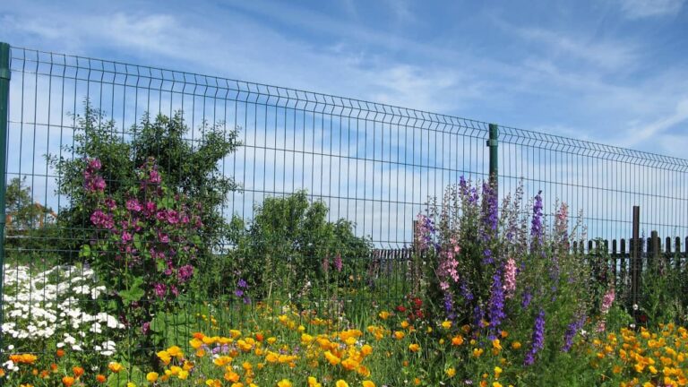 Comment choisir son grillage ? comment choisir grillage