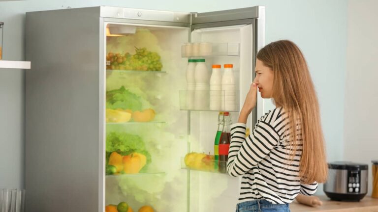 eliminer mauvaises odeurs refrigerateur