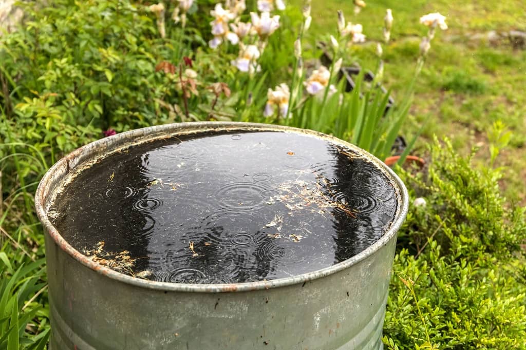 eau pluie